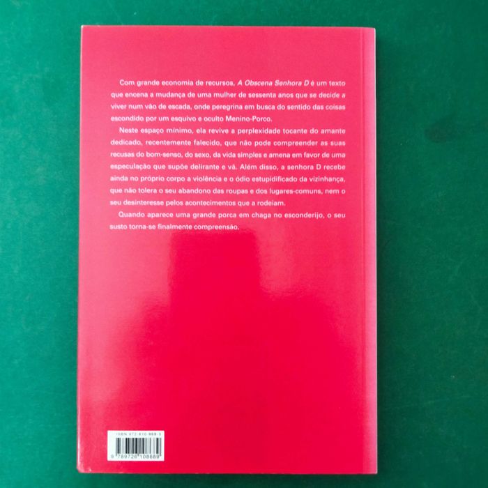 A Obscena Senhora D. - Hilda Hilst