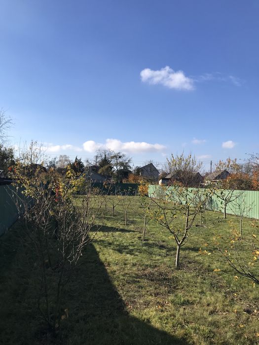 Фруктовий сад в ОЗОНІ