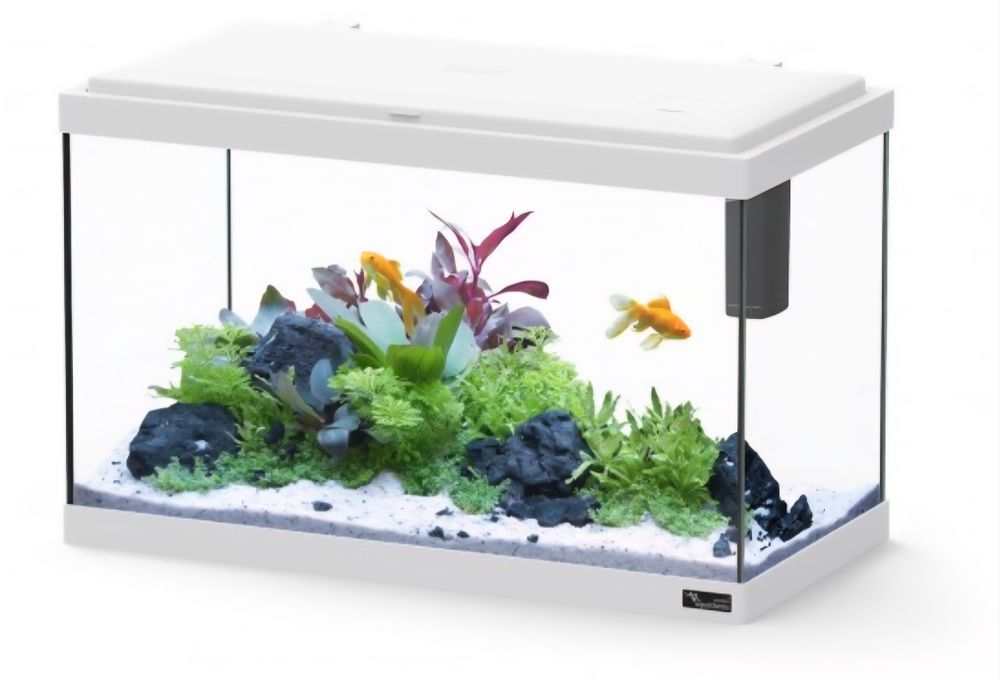 Aquário de diferentes tamanhos