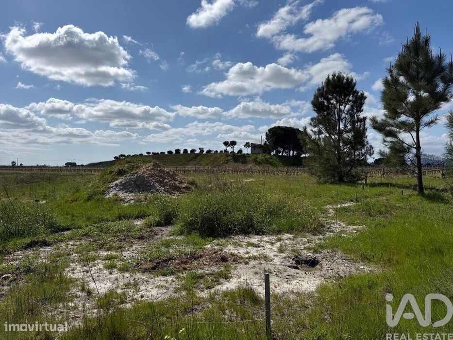 Terreno Agrícola em Palmela