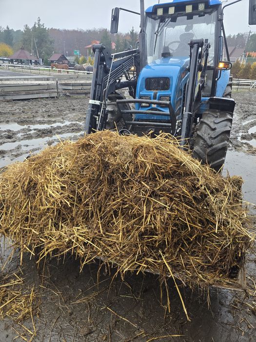 Obornik koński oryginał !Prawdziwy Najlepszy