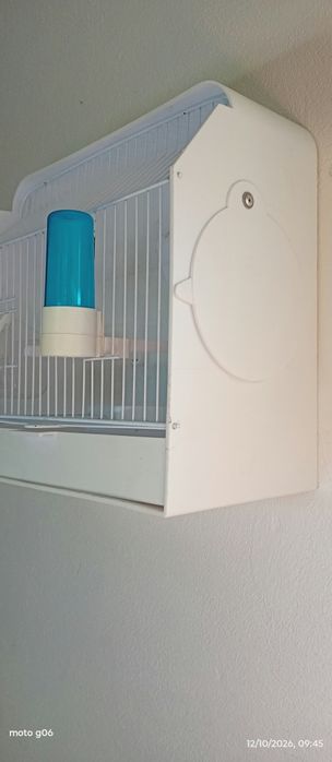 Gaiola para pássaros nova