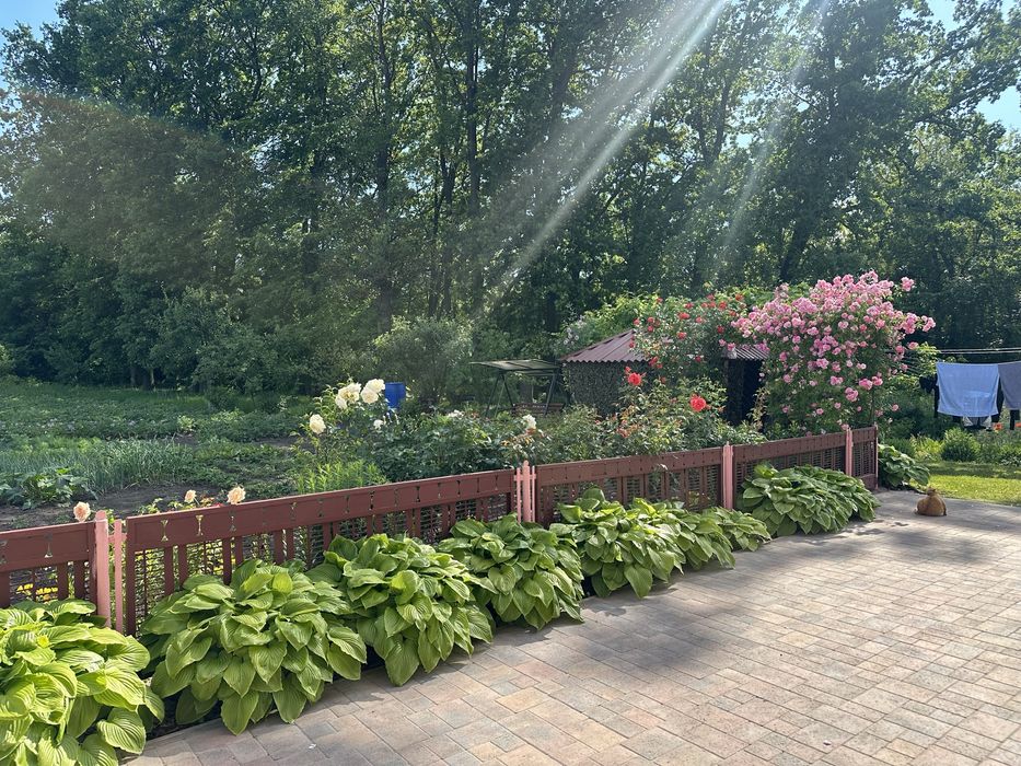 Продам Дом р-н Хинчанка | Полевая 87 кв.м | 5 сот