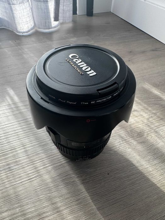 Canon EF 24-105mm f/4 L IS USM
