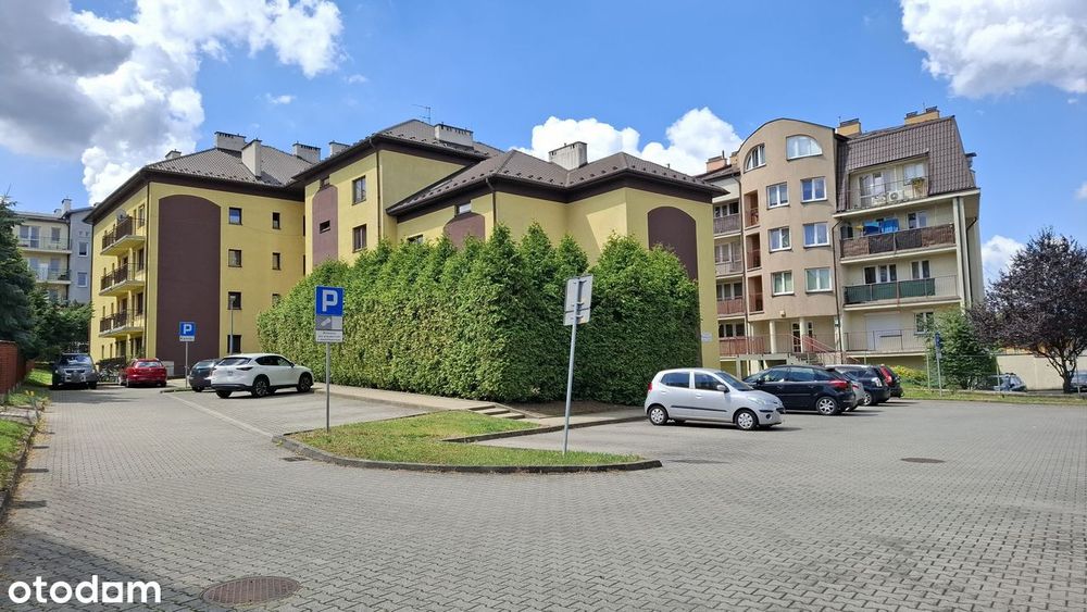 Zdjęcie 7