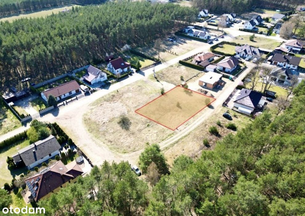 Działka budowlana w lesie 779 m²- Wiatrowo Las