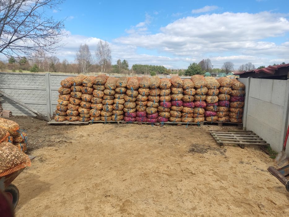 Zrębki drzewne liściaste