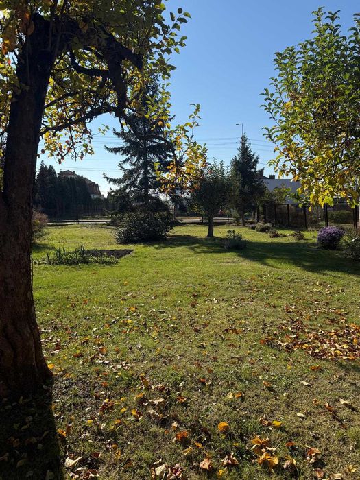 Samo Centrum Radzymina