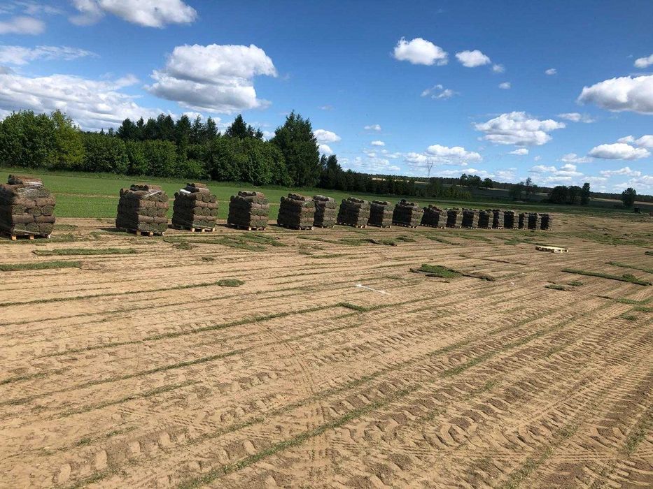 Trawa Z Rolki / PRODUCENT / Transport / montaz / ukladanie