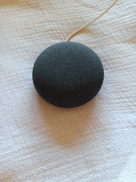 Google Nest Mini 2a Geração