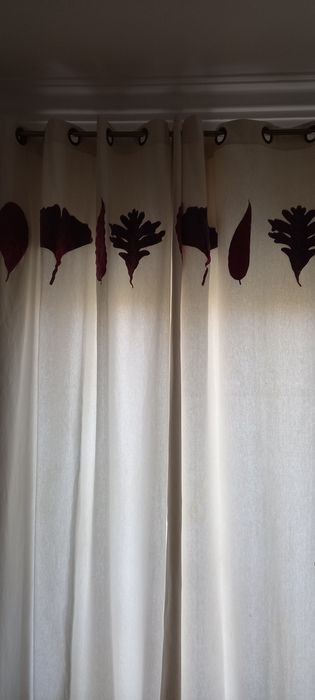 Cortinados gato preto