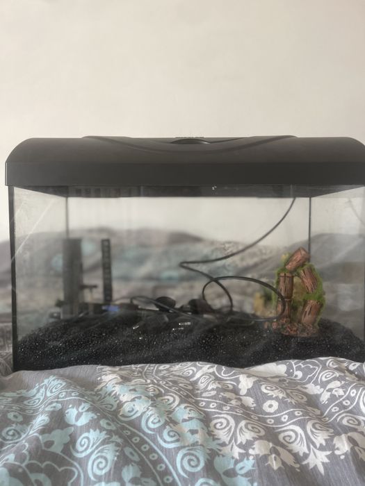 Akwarium Diversa z wyposażeniem AKWARIUM 37.5L - ZESTAW!