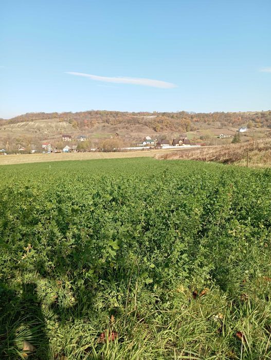 Земельна ділянка під будівництво 0,22 га