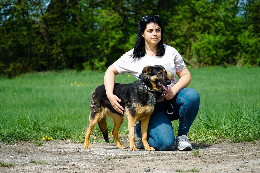 Mewa - śliczna suczka