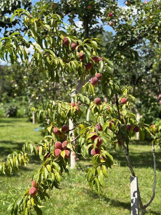 Продаж чудового будинку! Волочиськ