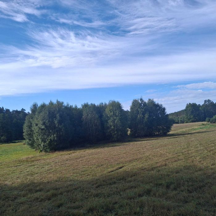 Działka na sprzedaż nad rzeką Chociną - potencjał inwestycyjny