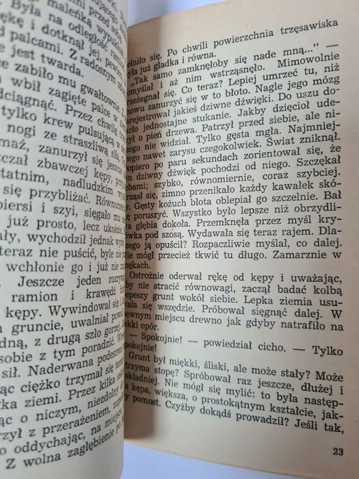 W skórze wisielca - Jerzy Korczak