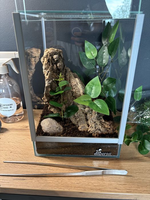 witam wykonam terrarium na zamowienie