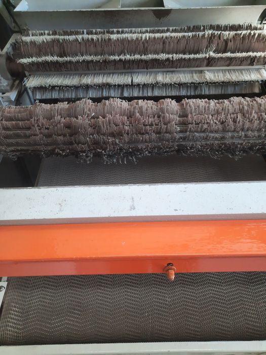 Polidora de fundo ou de tapaporos