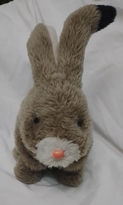 Енерційний зайчик