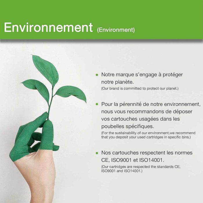 icartouche Wkład atramentowy kompatybilny