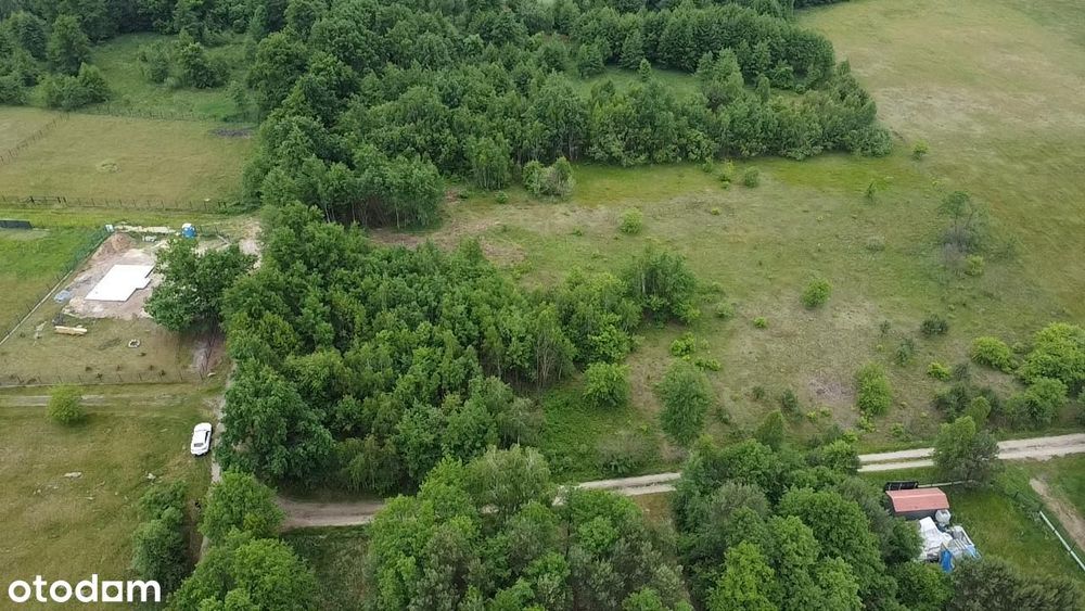 Sprzedam działkę rekreacyjną MPZP 48 km od Warszawy - Widok 4