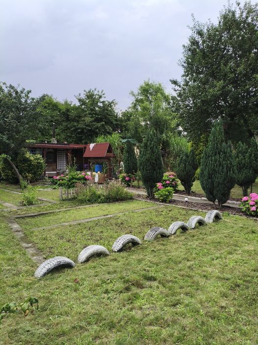 Nowa cena Noworoczna !Ogródek działkowy 503m2