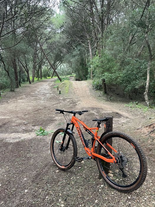 Orbea Occam TR L