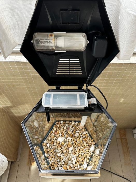 Aquário hexagonal em vidro