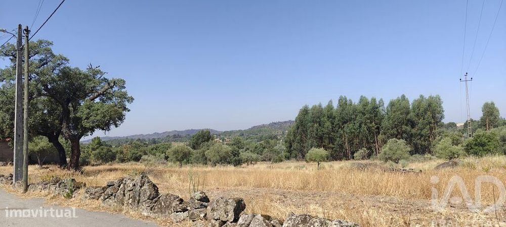 Terreno em Aranhas
