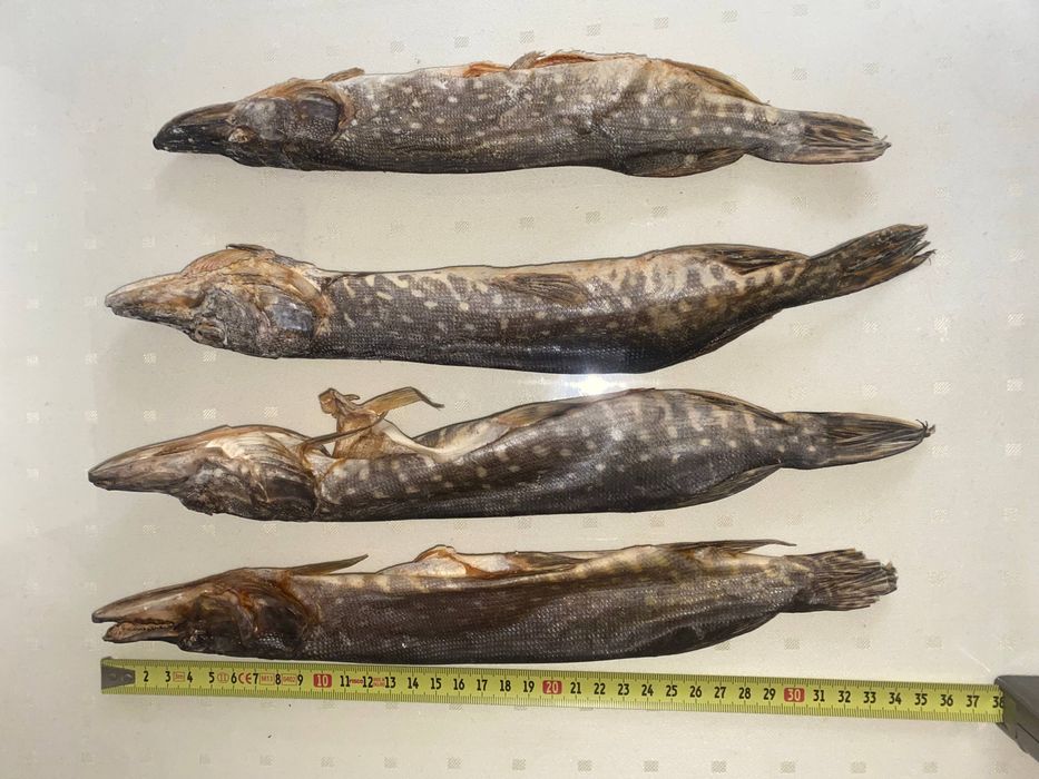 Сушена річкова риба щука