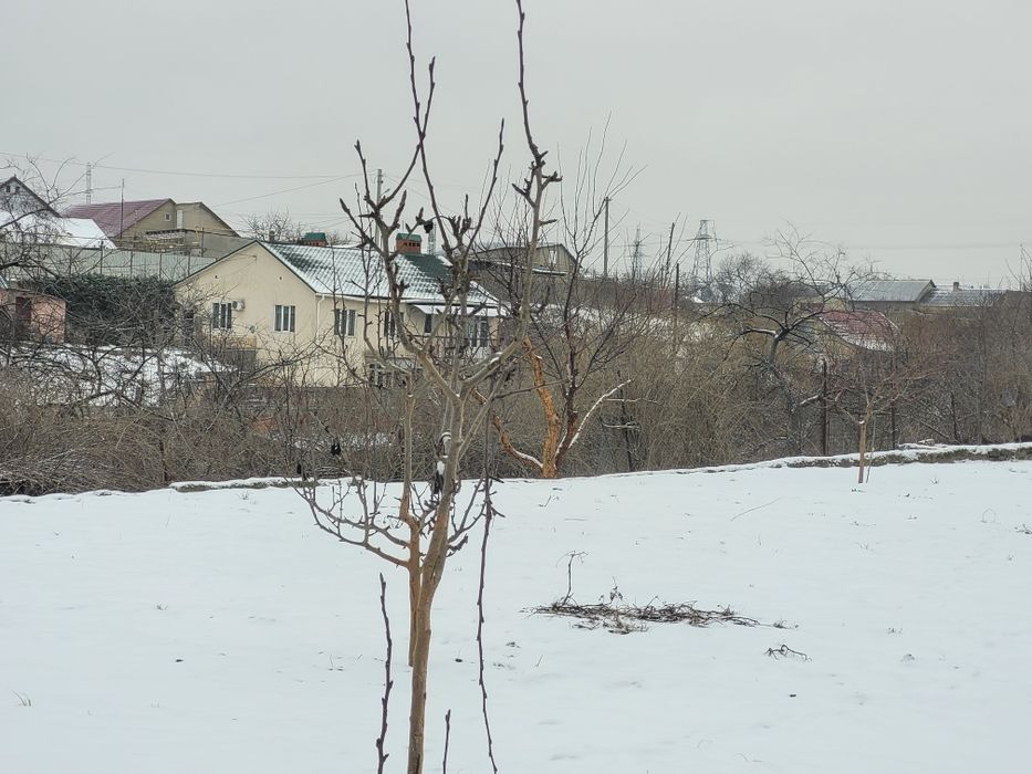 Дом по адресу ул. Китобойная (площадь 104 м²) - Atlanta.ua - фото 8