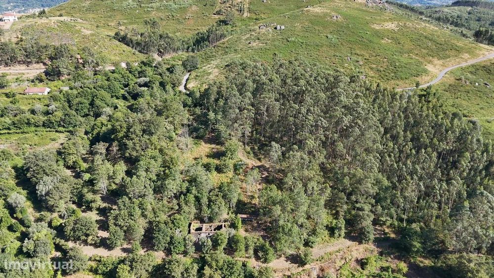 Quinta com 2 Hectares e Casa em Pedra para Recuperar em Gomide, Vila V