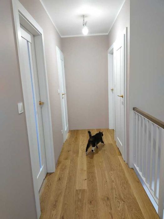 Kamuflaż starych ościeżnic DRZWI wewnętrzne DRZWI niestandardowe