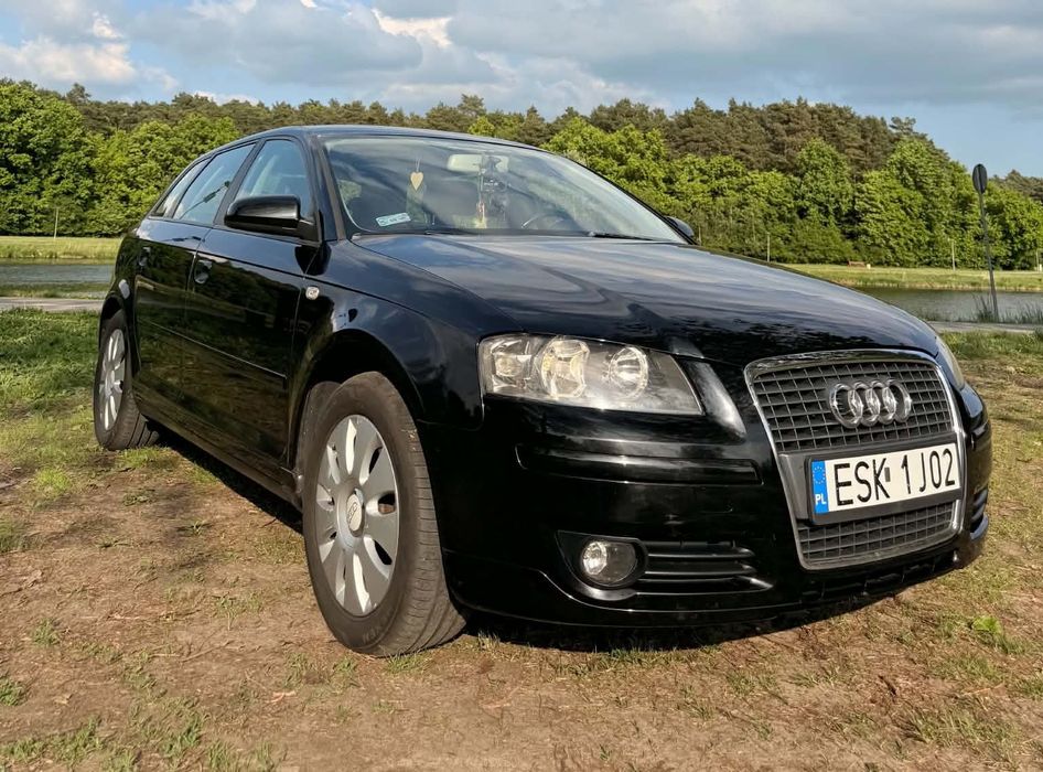 Audi A3 Sportback Audi A3 8P 1.9 TDI