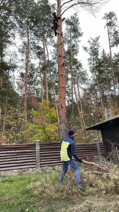 Спил ,ВИДАЛЕННЯ!Проблемних, Великих, Аварійних дерев!!!Арборист.