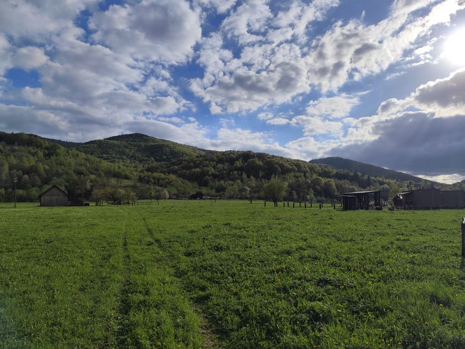 Продаж земельної ділянки 43 сот. в Карпатах с. Шешори