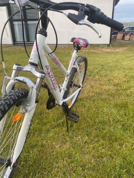 Śliczny rower Avigo 26”