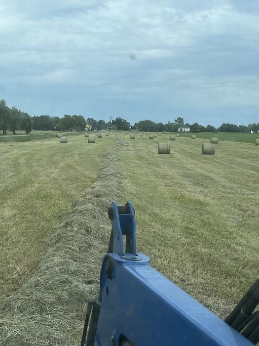 Siano w belach dla koni