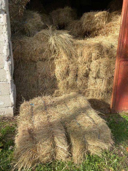 Fardos de Feno Médios