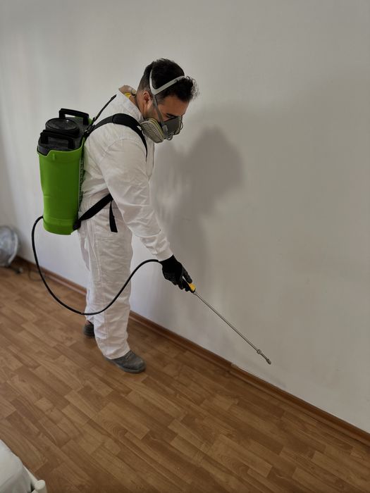 DESINFESTAÇÃO CONTROLO D EPRAGAS PERCEVEJOS BARATAS PULGAS TÉRMITAS