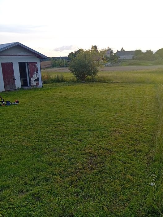 Koszenie Trawy | Karczowanie | Sprzątanie Działek i Ogrodów | Tczew