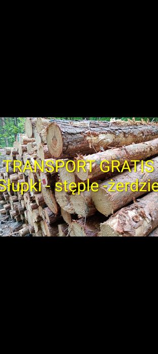 Stęple żerdzie słupki ogrodzeniowe modrzewiowe
