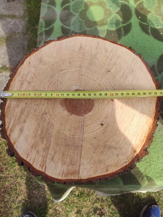 Krążki, plastry z drewna naturalnego