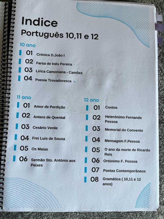 Resumos Portugues - 10,11,12 anos