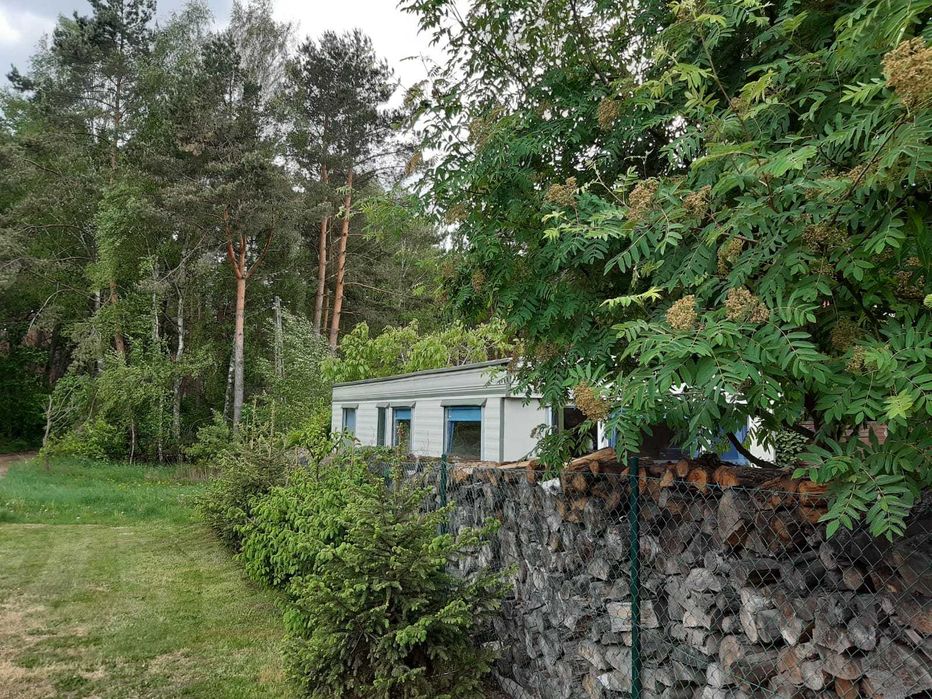 Domek przy lesie Kobyla Góra