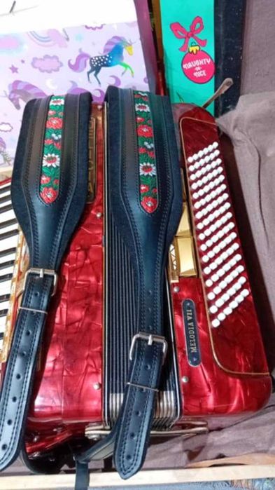 Akordeon Delicja melodia VII 96 basow