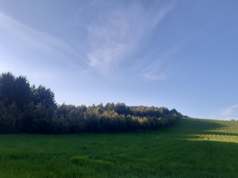 Domek caloroczny Roztocze Zamość