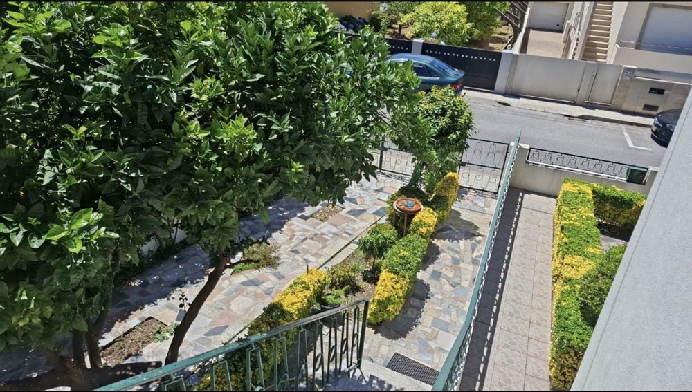 Reparações, limpeza jardim