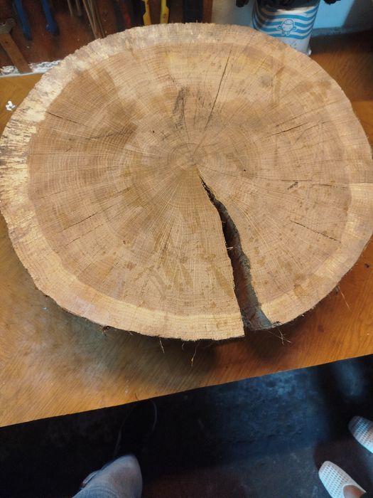 Plaster dębu śr. 45